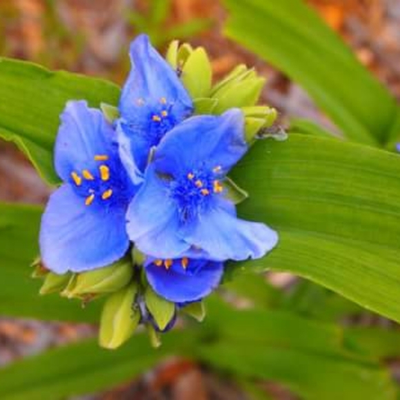 Meet your Posher, Lizanne - Picture 6 of 10